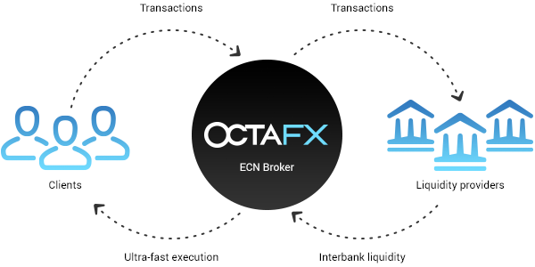 How OctaFX processes orders